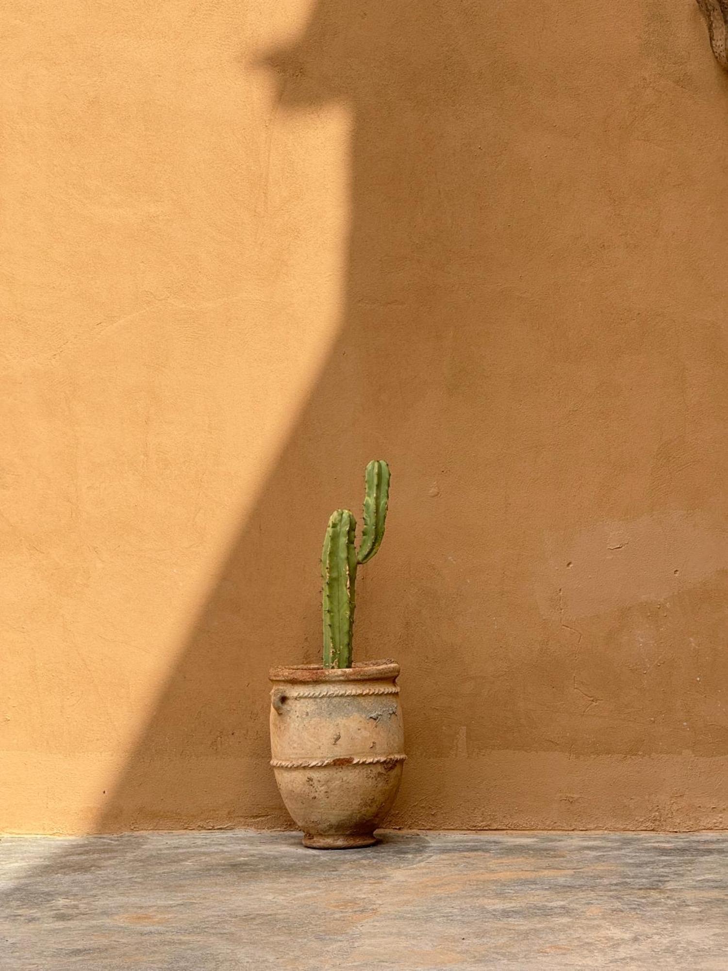 Kasbah Aitisfoul Hotel Tagounite Buitenkant foto