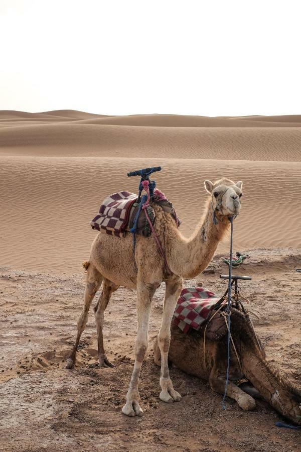 Kasbah Aitisfoul Hotel Tagounite Buitenkant foto